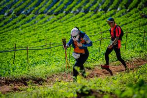 BIB: 
                            <button type="button" onclick="openModal(19162194)" class="btn btn-primary btn-sm float-right btn-popup" data-toggle="modal" data-target=".modal-high-quality">
                        <i class="fas fa-shopping-cart"></i> Add to Cart
                    </button>
                                            <button type="button" onclick="isThisMe(19162194, true)" class="btn btn-success btn-sm float-right btn-popup btn-isme hidden" data-toggle="tooltip" data-placement="bottom" title="นี่คือรูปของคุณใช่ไหม คลิกที่นี่เพื่อเอาเข้าอัลบั้ม">
                        <i class="fas fa-plus"></i> Add to album
                    </button>
                    <button type="button" onclick="isThisMe(19162194, false)" class="btn btn-warning btn-sm float-right btn-popup btn-isnotme hidden">
                        <i class="fas fa-ban"></i> Remove from album
                    </button>